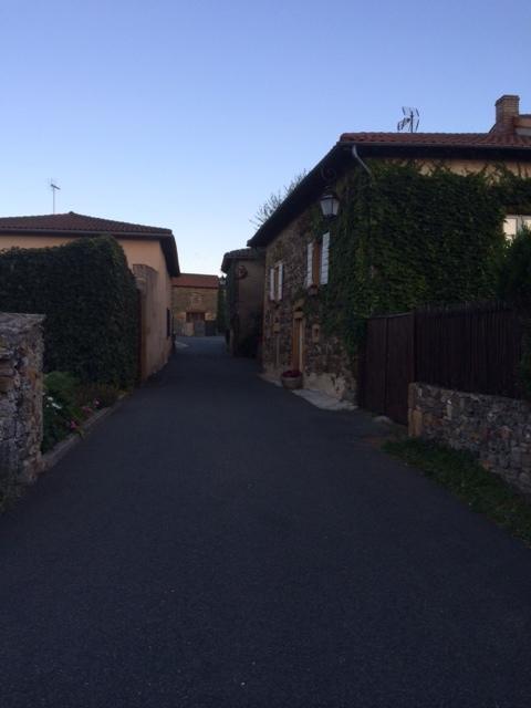 La Dame De Messignac Villa Ternand Exterior photo